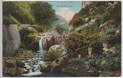 (36448) AK Morgenbachtal bei Trechtinghausen, 1908 (gel. 1910)