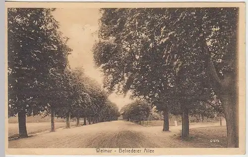 (36089) AK Weimar, Belvederer Allee, 1916