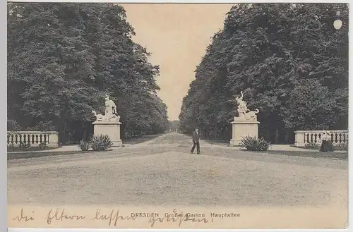 (35524) AK Dresden, Großer Garten, Hauptallee, 1912