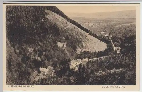 (35286) AK Ilsenburg (Harz), Blick ins Ilsetal, vor 1945