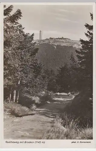 (35245) Foto AK Goetheweg m. Brocken, vor 1945