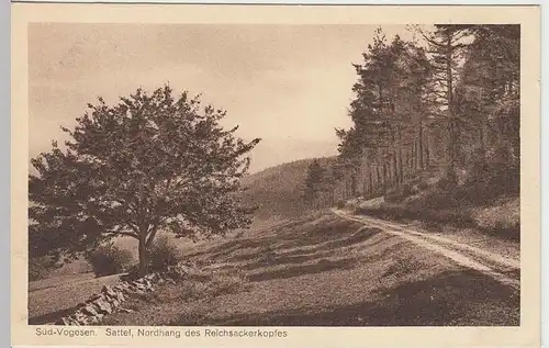 (35221) AK Süd-Vogesen, Sattel, Nordhang d. Reichsackerkopfes