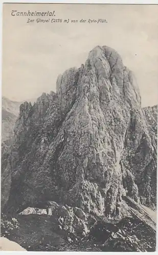 (30419) AK Tannheimertal, Blick vom Rote-Flüh auf den Gimpel, vor 1945