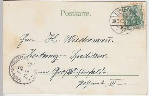 (30305) AK Berlin, Kgl. Schloss, Silberdruck, 1903