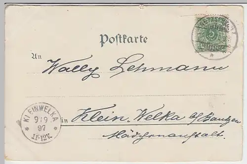 (30233) AK Gruss aus dem Göltzschthal, Netzschkau, Brücke, 1897