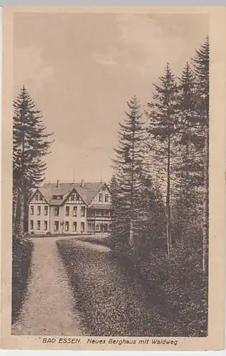 (30159) AK Bad Essen, Neues Berghaus mit Waldweg, vor 1945