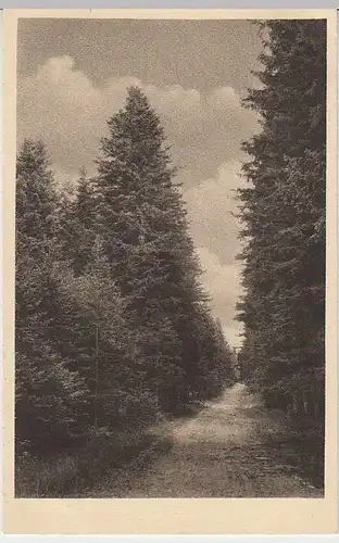 (35027) AK Königsfeld i. Schwarzwald, Neuhauser Weg, 1920er