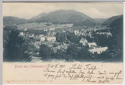 (34596) AK Gruss aus Görbersdorf, Panorama, 1901