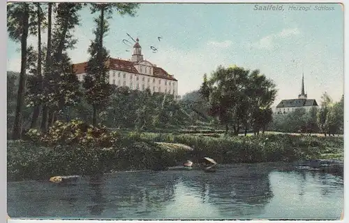 (34429) AK Saalfeld, Herzogl. Schloss, 1909