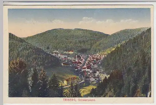 (34403) AK Triberg im Schwarzwald, Panorama, 1921