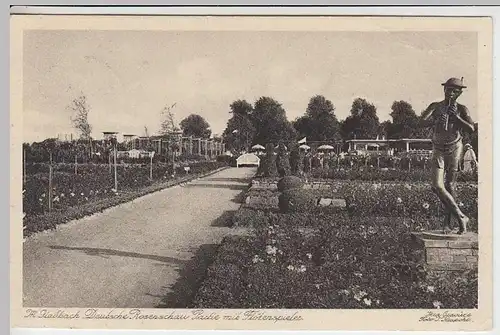 (34356) AK Mönchengladbach, Deutsche Rosenschau, Partie m. Flötenspieler