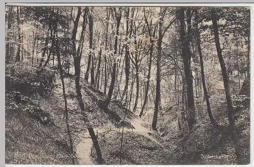 (34261) AK Bad Buckow, Silberkehle, Feldpost 1915
