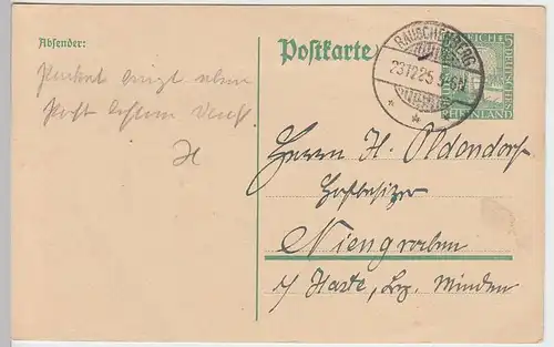 (33758) Ganzsache DR Rauschenberg 1925