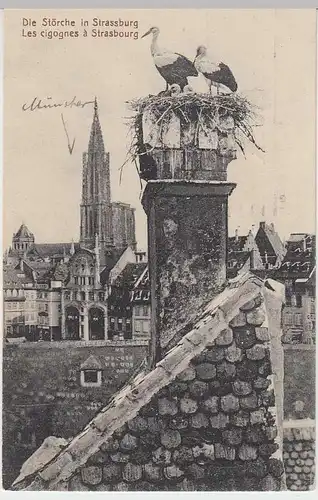 (33912) AK Strasbourg, Straßburg, Storchennest auf Schornstein, 1914