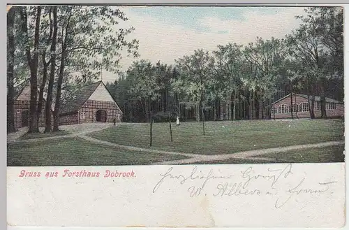 (33679) AK Gruss aus Forsthaus Dobrock, 1915
