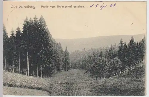(33490) AK Oberbärenburg, Partie vom Helenenhof, 1909