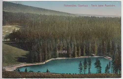 (33410) AK Hahnenklee, Teich beim Auerhahn 1926