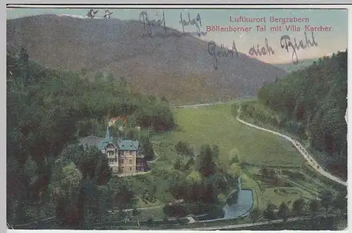 (33402) AK Bergzabern, Böllenborner Tal mit Villa Karcher, 1920