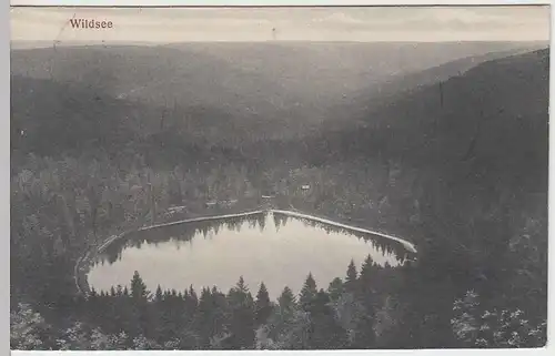 (33008) AK Wildsee (Ruhestein), Werbung f. Kurhaus Ruhestein, 1925