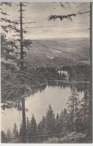 (32994) AK Seebach, Mummelsee mit Hotel, vor 1945