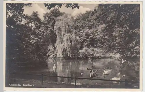 (32965) Foto AK Chemnitz, Stadtpark, vor 1945