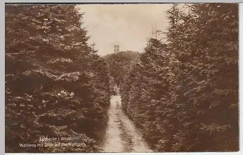 (32680) Foto AK Lübbecke i.W., Blick zum Wartturm, 1926