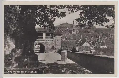 (32371) Foto AK Tübingen, bei der Schloßlinde, 1928