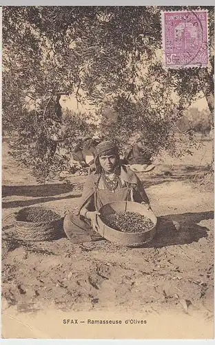 (32097) AK Sfax, Tunesien, Olivenernterin, 1930er