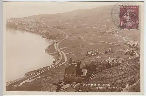(32096) Foto AK Lavaux, Weinberge, 1930
