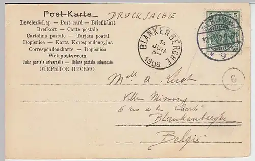 (31960) AK Potsdam, Historische Mühle, 1909