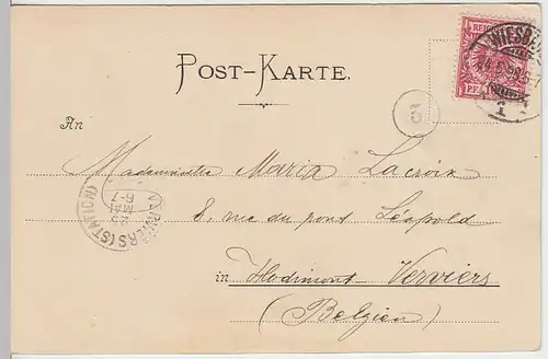 (31956) AK Wiesbaden, Panorama, 1898