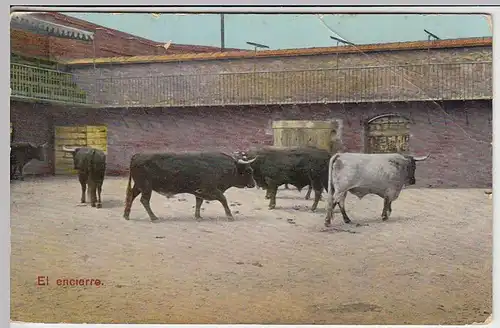 (31648) AK Stiere, Spanien "El encierro", 1908