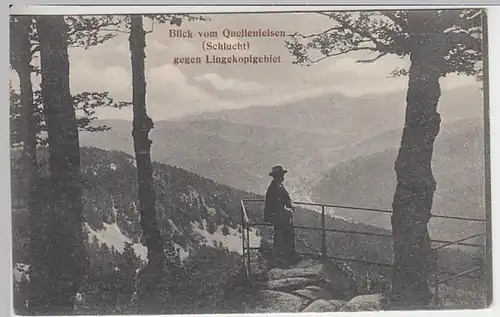 (31402) AK Lingekopfgebiet, Blick vom Quellenfelsen (Schlucht), 1914-16