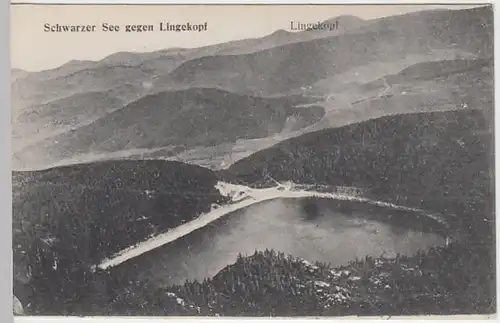 (31379) AK Lac Noir (Schwarzer See) gegen Lingekopf, 1914-16