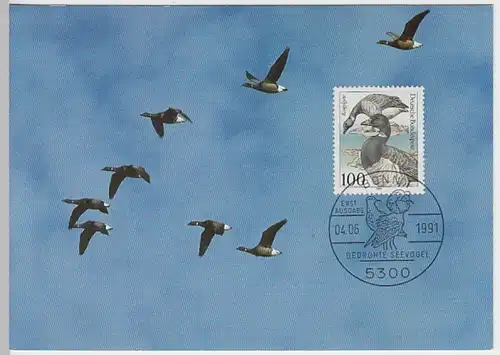 (31038) Maximumkarte Bedrohte Seevögel, Erstausgabe Bonn 1991