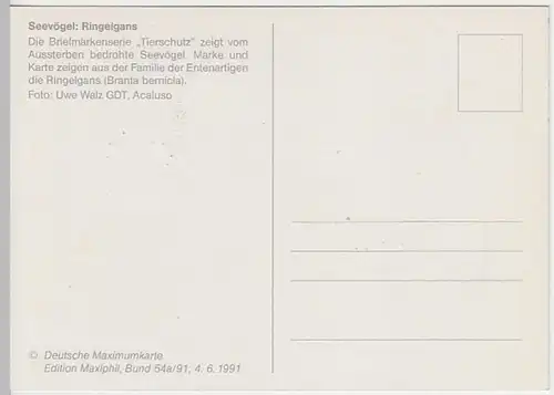 (31038) Maximumkarte Bedrohte Seevögel, Erstausgabe Bonn 1991
