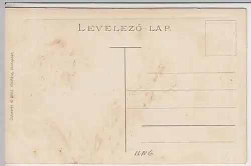 (30950) AK Budapest, Panorama