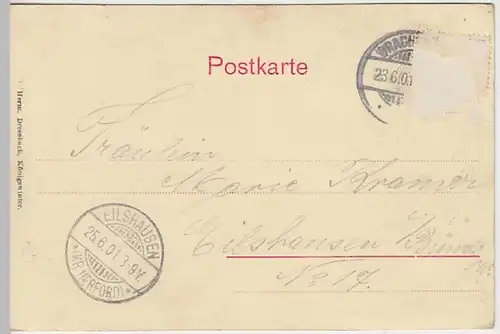 (30732) AK Drachenfels a. Rh., Plateau, 1901