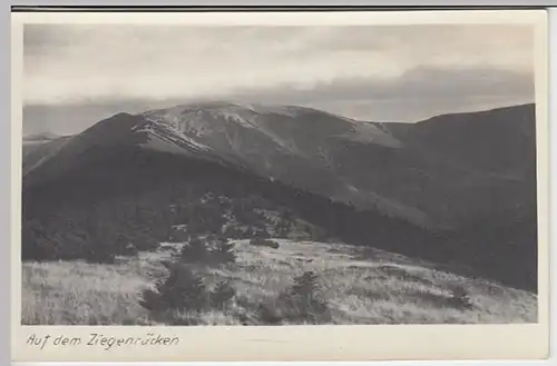 (30514) Foto AK Riesengeb., Blick vom Ziegenrücken (Kozi hrbety), vor 1945
