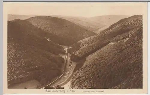 (29897) AK Bad Lauterberg im Harz, Luttertal vom Kummel 1910/20er