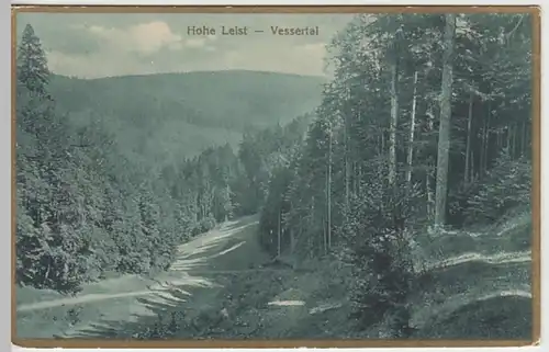 (29783) AK Hohe Leist im Vessertal 1926