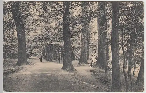 (29668) AK Bad Oeynhausen, Siel Allee 1915