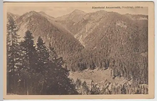 (29419) AK Alpenhotel Ammerwald in Nordtirol 1910/20er