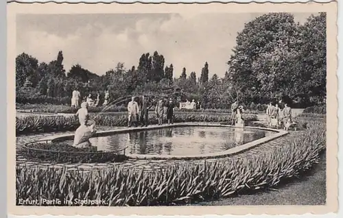 (29261) AK Erfurt, Partie im Stadtpark 1946