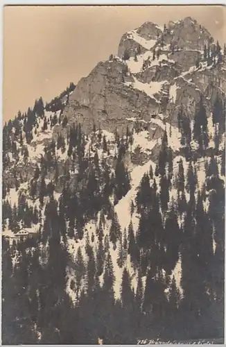 (28957) AK Brünnsteinhaus u. Brünnsteingipfel 1920er