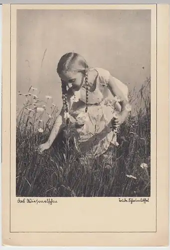 (28392) AK Mädchen pflückt Blumen, Wiesenelfchen 1940