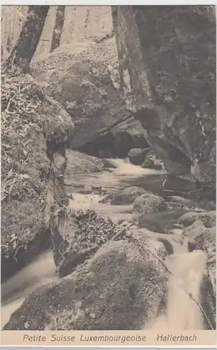 (28335) AK Hallerbach, Petite Suisse Luxemboureoise,  Region Müllerthal 1910er