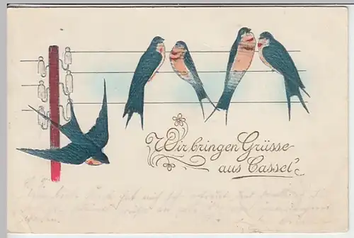 (27735) Künstler AK Grüße aus Kassel, Schwalben, Prägekarte 1904