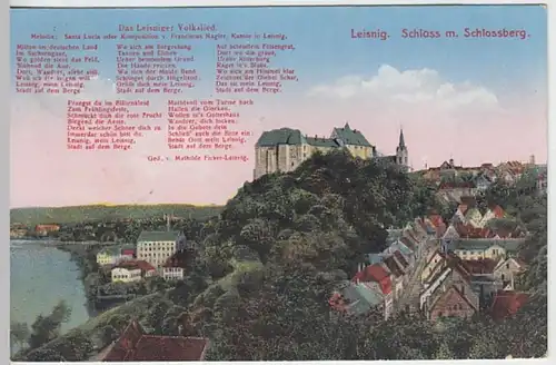 (27694) AK Leisnig, Stadtansicht, Burg Mildenstein 1925