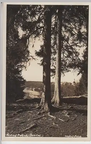 (27185) Foto AK Pullach im Isartal, Blick aus dem Wald 1935